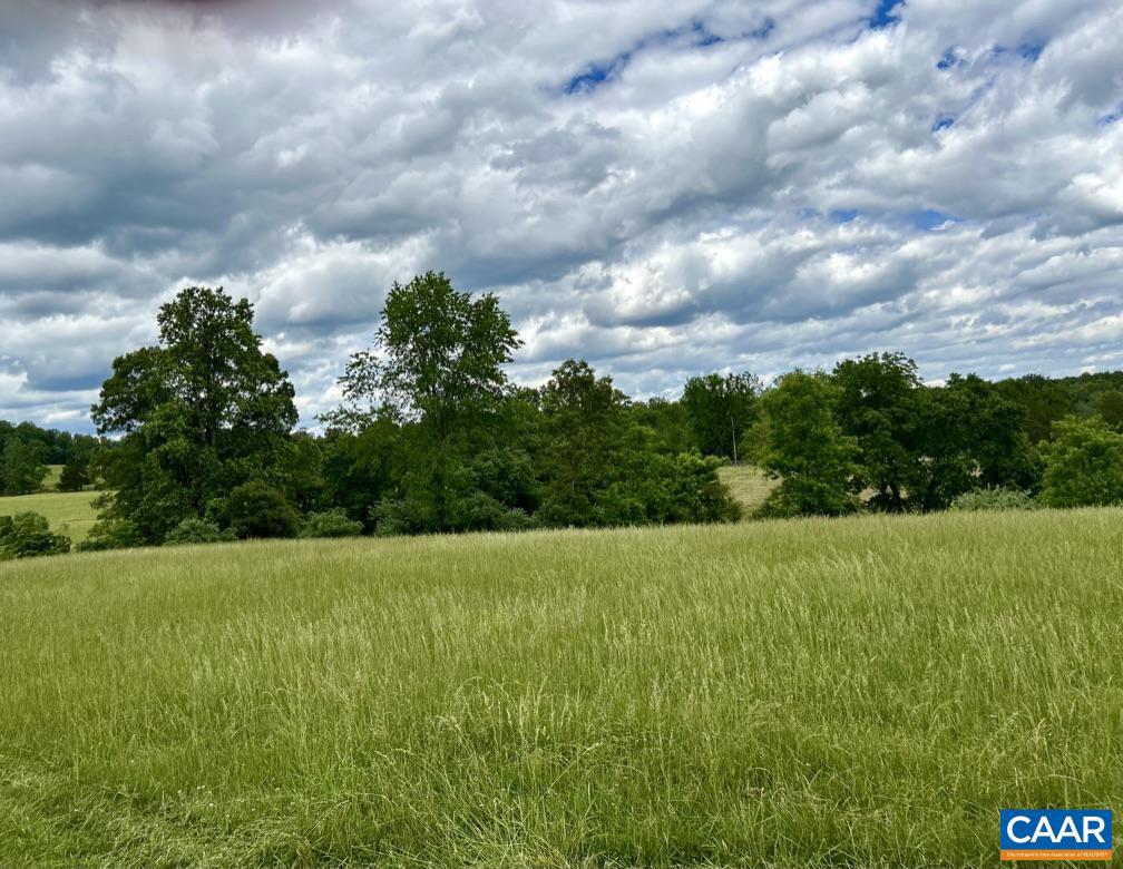 5 CATTERTON RD, FREE UNION, Virginia 22940, ,Land,For sale,5 CATTERTON RD,664971 MLS # 664971