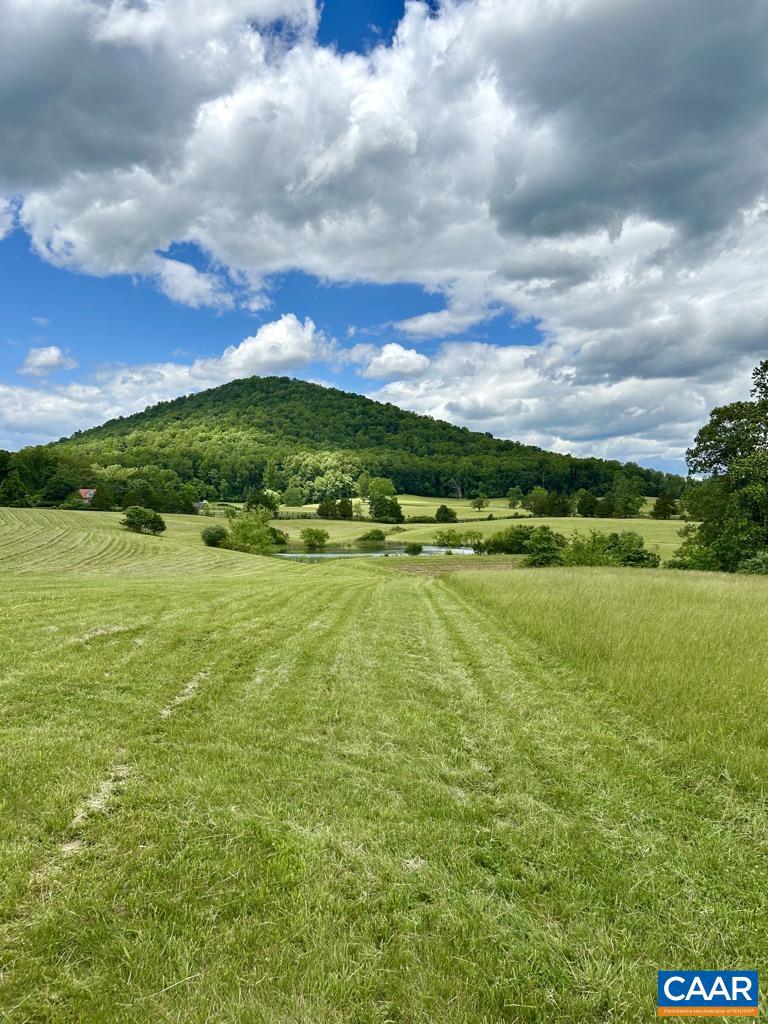 5 CATTERTON RD, FREE UNION, Virginia 22940, ,Land,For sale,5 CATTERTON RD,664971 MLS # 664971