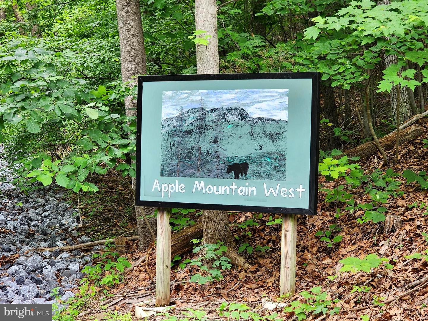 LOT 65 BRANDY RD, FRONT ROYAL, Virginia 22630, ,Land,For sale,LOT 65 BRANDY RD,VAWR2011296 MLS # VAWR2011296