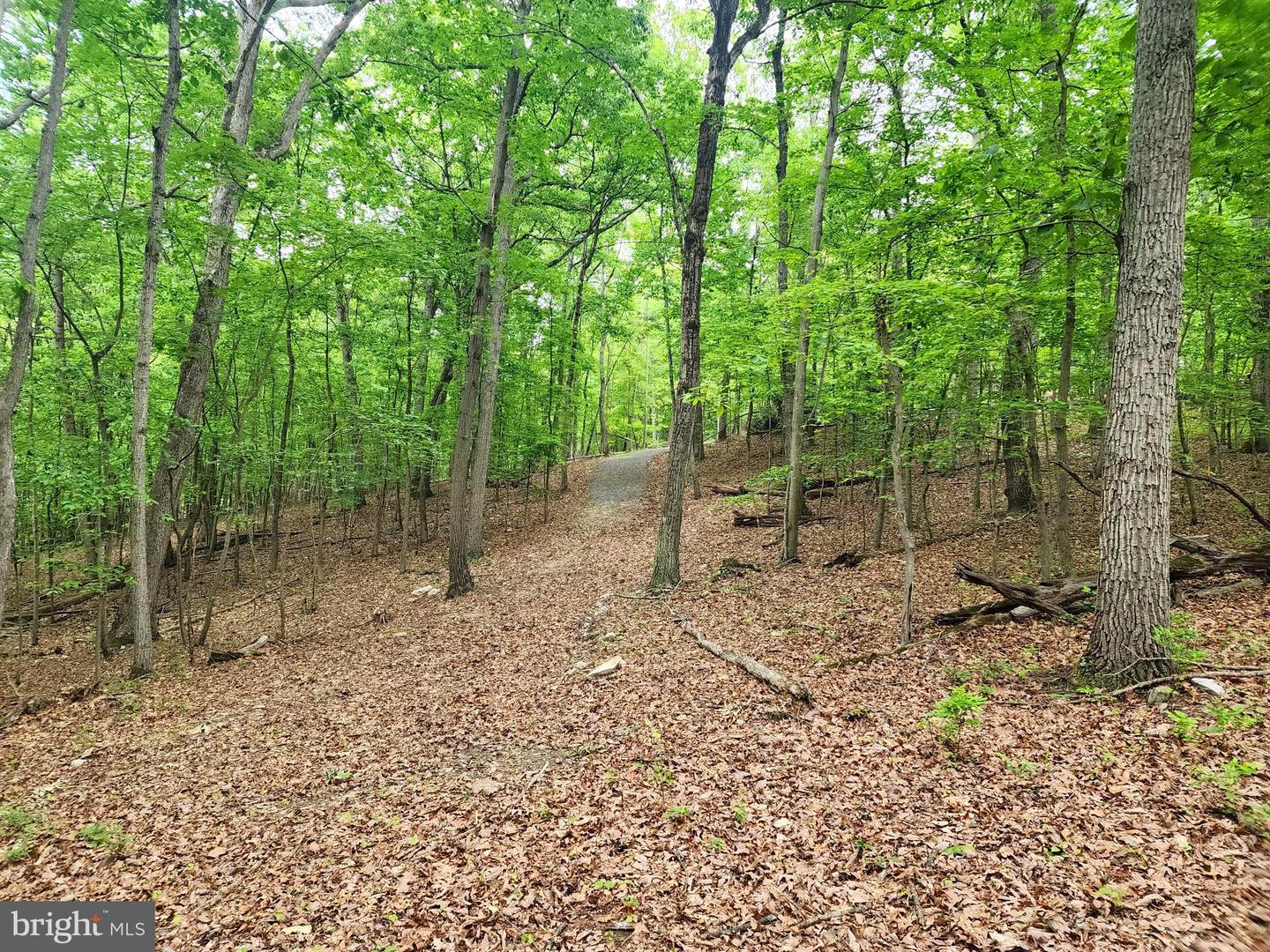 LOT 65 BRANDY RD, FRONT ROYAL, Virginia 22630, ,Land,For sale,LOT 65 BRANDY RD,VAWR2011296 MLS # VAWR2011296