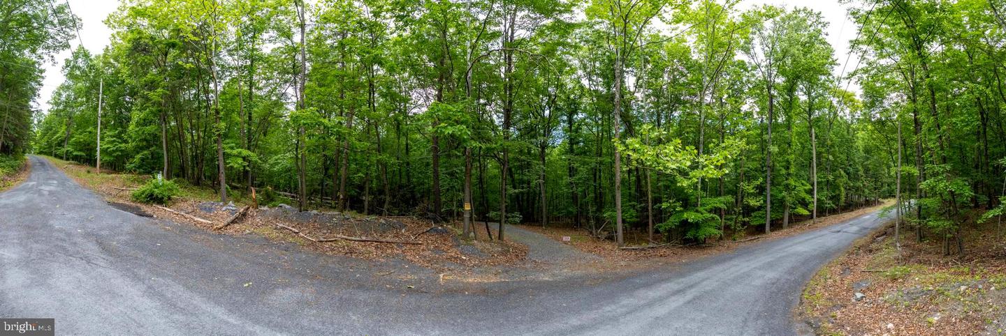 LOT 65 BRANDY RD, FRONT ROYAL, Virginia 22630, ,Land,For sale,LOT 65 BRANDY RD,VAWR2011296 MLS # VAWR2011296