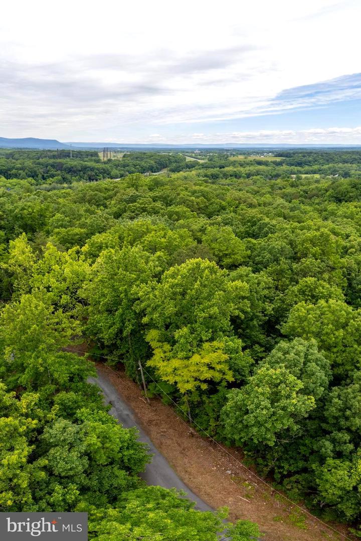 LOT 65 BRANDY RD, FRONT ROYAL, Virginia 22630, ,Land,For sale,LOT 65 BRANDY RD,VAWR2011296 MLS # VAWR2011296