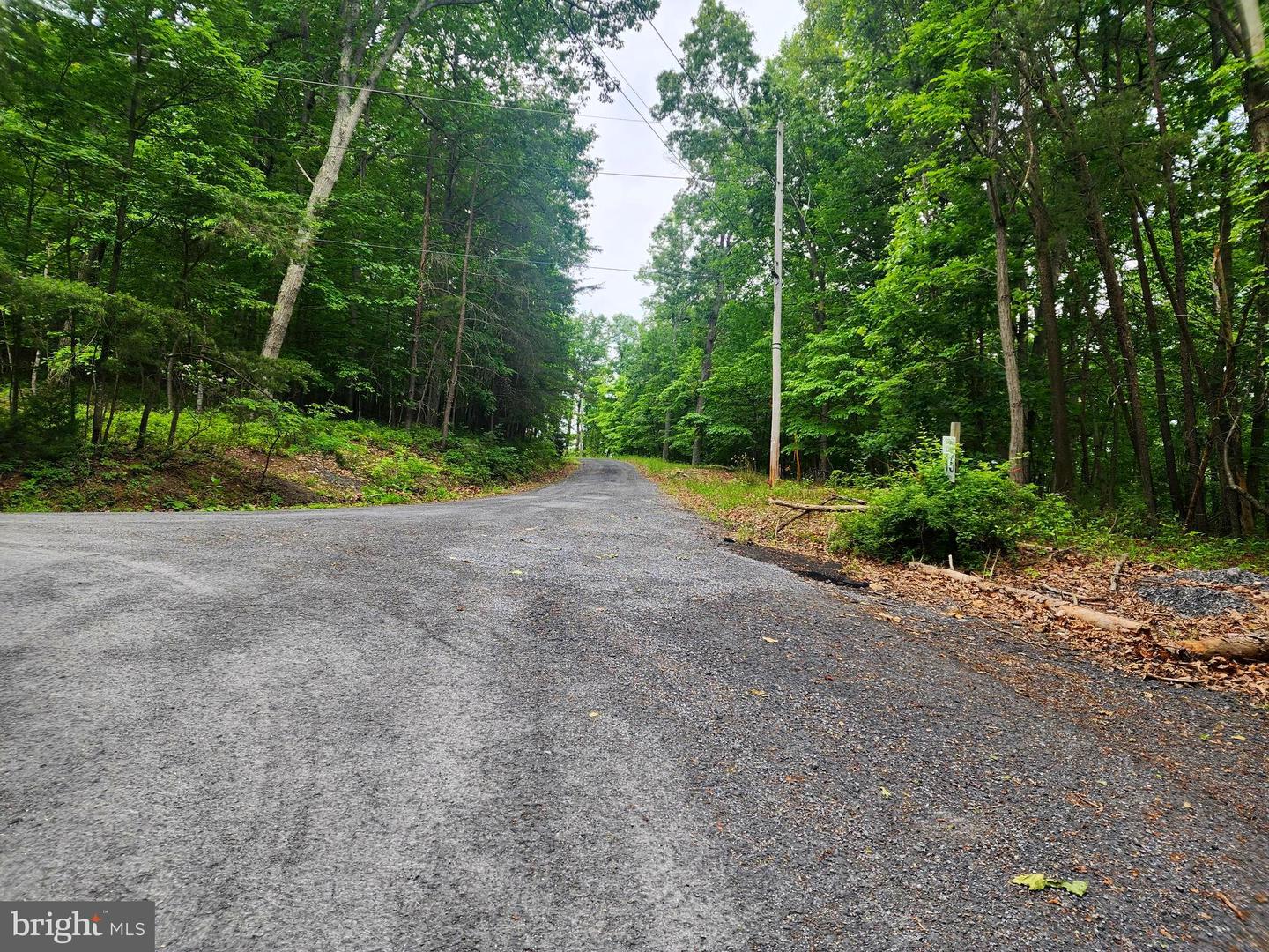 LOT 65 BRANDY RD, FRONT ROYAL, Virginia 22630, ,Land,For sale,LOT 65 BRANDY RD,VAWR2011296 MLS # VAWR2011296