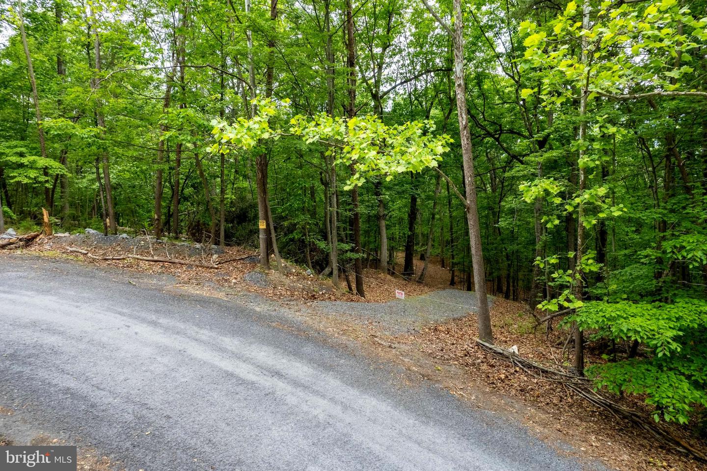 LOT 65 BRANDY RD, FRONT ROYAL, Virginia 22630, ,Land,For sale,LOT 65 BRANDY RD,VAWR2011296 MLS # VAWR2011296