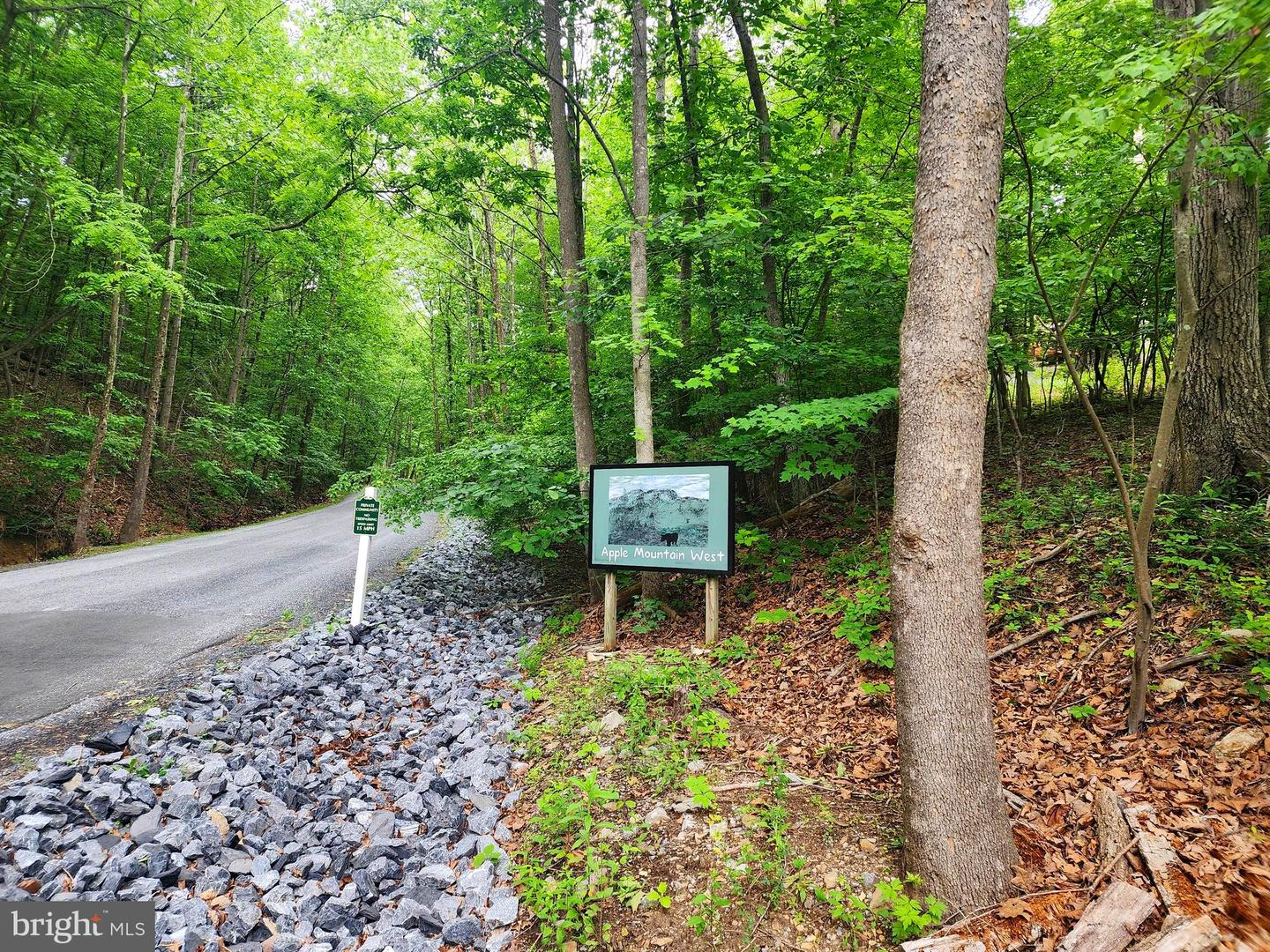 LOT 65 BRANDY RD, FRONT ROYAL, Virginia 22630, ,Land,For sale,LOT 65 BRANDY RD,VAWR2011296 MLS # VAWR2011296