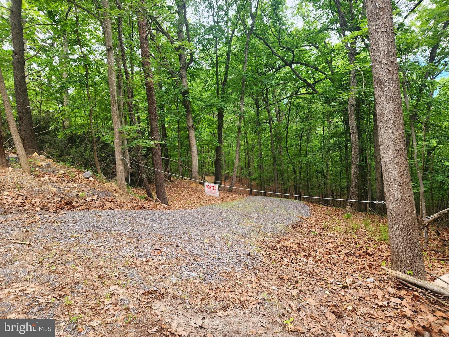 LOT 65 BRANDY RD, FRONT ROYAL, Virginia 22630, ,Land,For sale,LOT 65 BRANDY RD,VAWR2011296 MLS # VAWR2011296