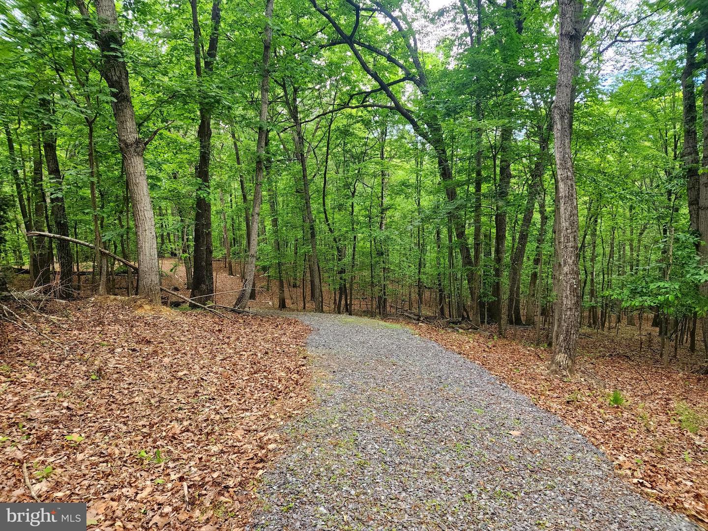 LOT 65 BRANDY RD, FRONT ROYAL, Virginia 22630, ,Land,For sale,LOT 65 BRANDY RD,VAWR2011296 MLS # VAWR2011296