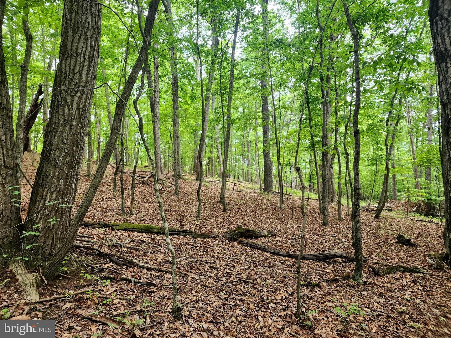 LOT 65 BRANDY RD, FRONT ROYAL, Virginia 22630, ,Land,For sale,LOT 65 BRANDY RD,VAWR2011296 MLS # VAWR2011296