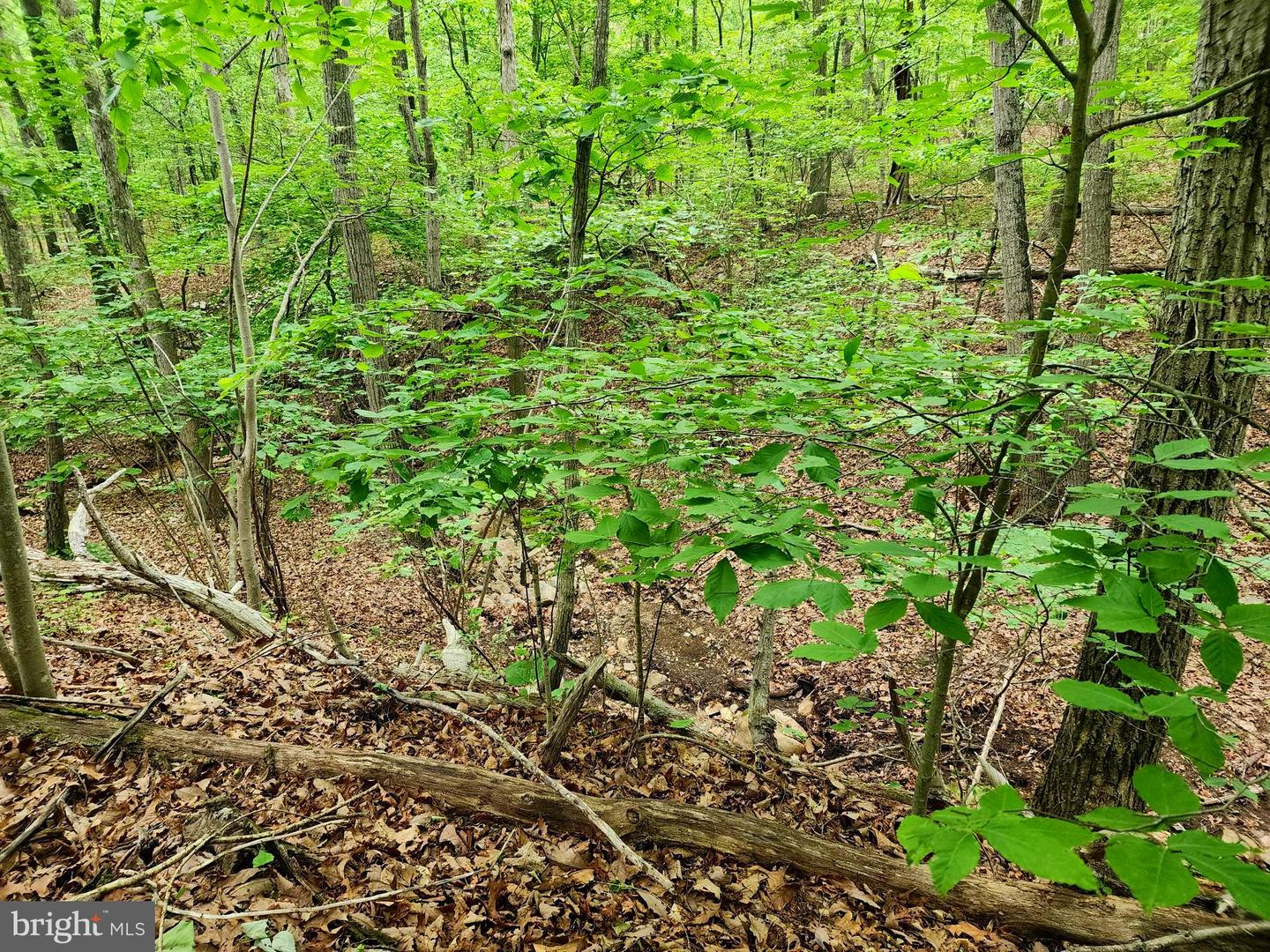 LOT 65 BRANDY RD, FRONT ROYAL, Virginia 22630, ,Land,For sale,LOT 65 BRANDY RD,VAWR2011296 MLS # VAWR2011296