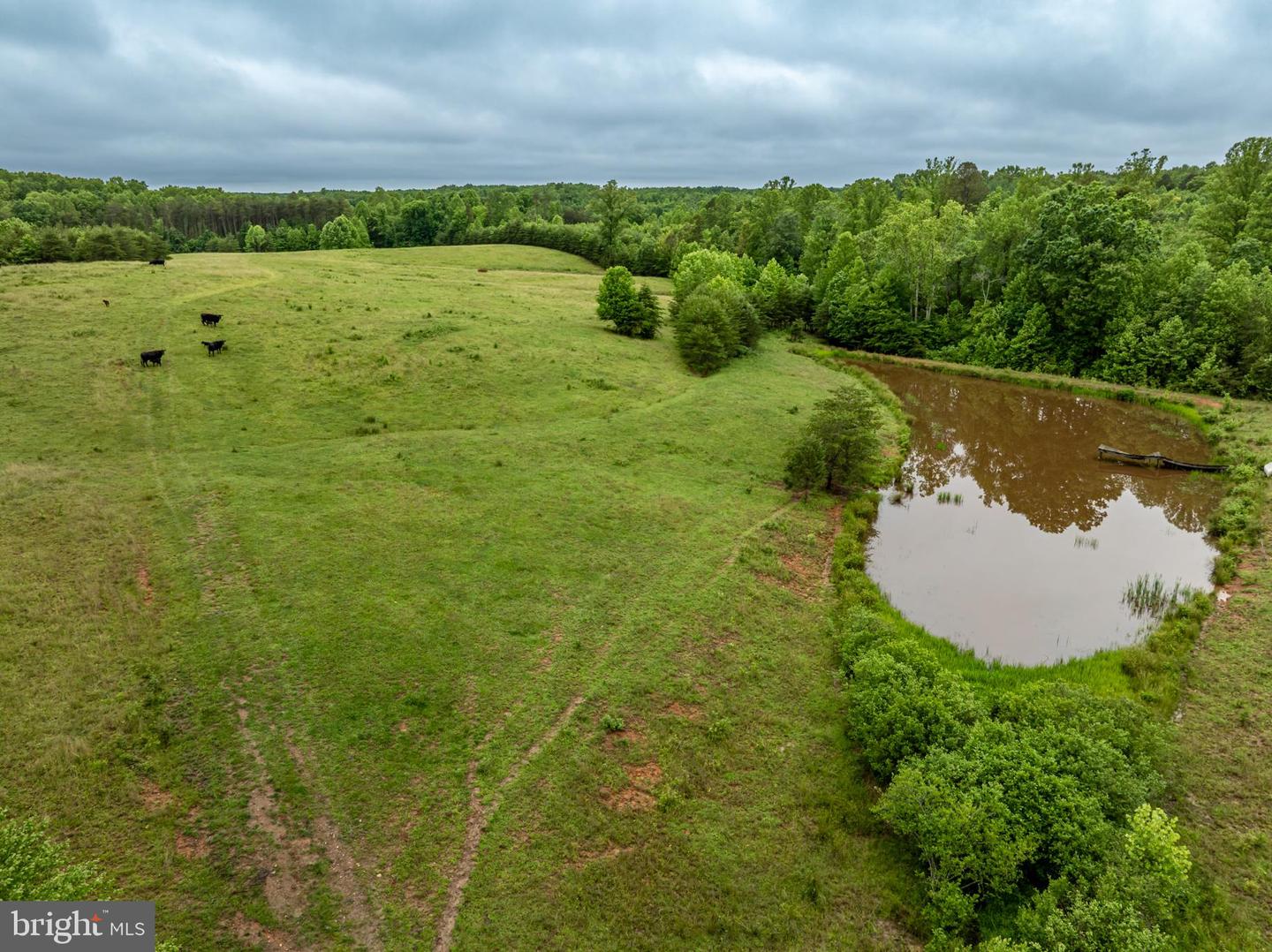 50 ELIZABETH, LOUISA, Virginia 23093, ,Land,For sale,50 ELIZABETH,VALA2007946 MLS # VALA2007946
