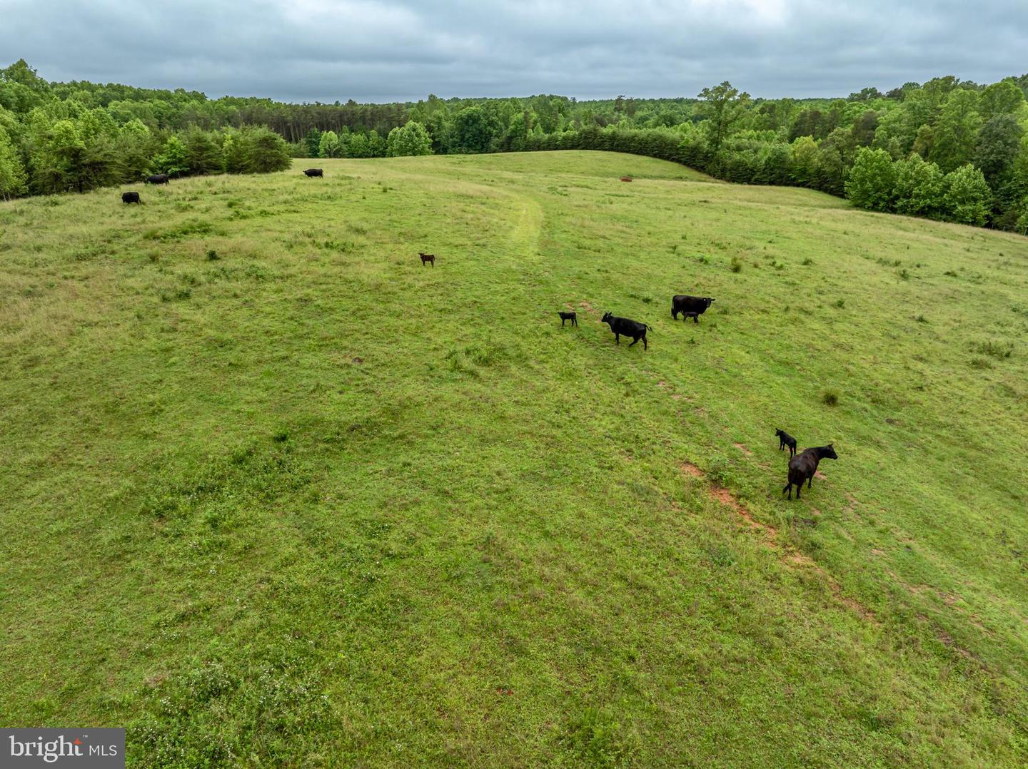 50 ELIZABETH, LOUISA, Virginia 23093, ,Land,For sale,50 ELIZABETH,VALA2007946 MLS # VALA2007946