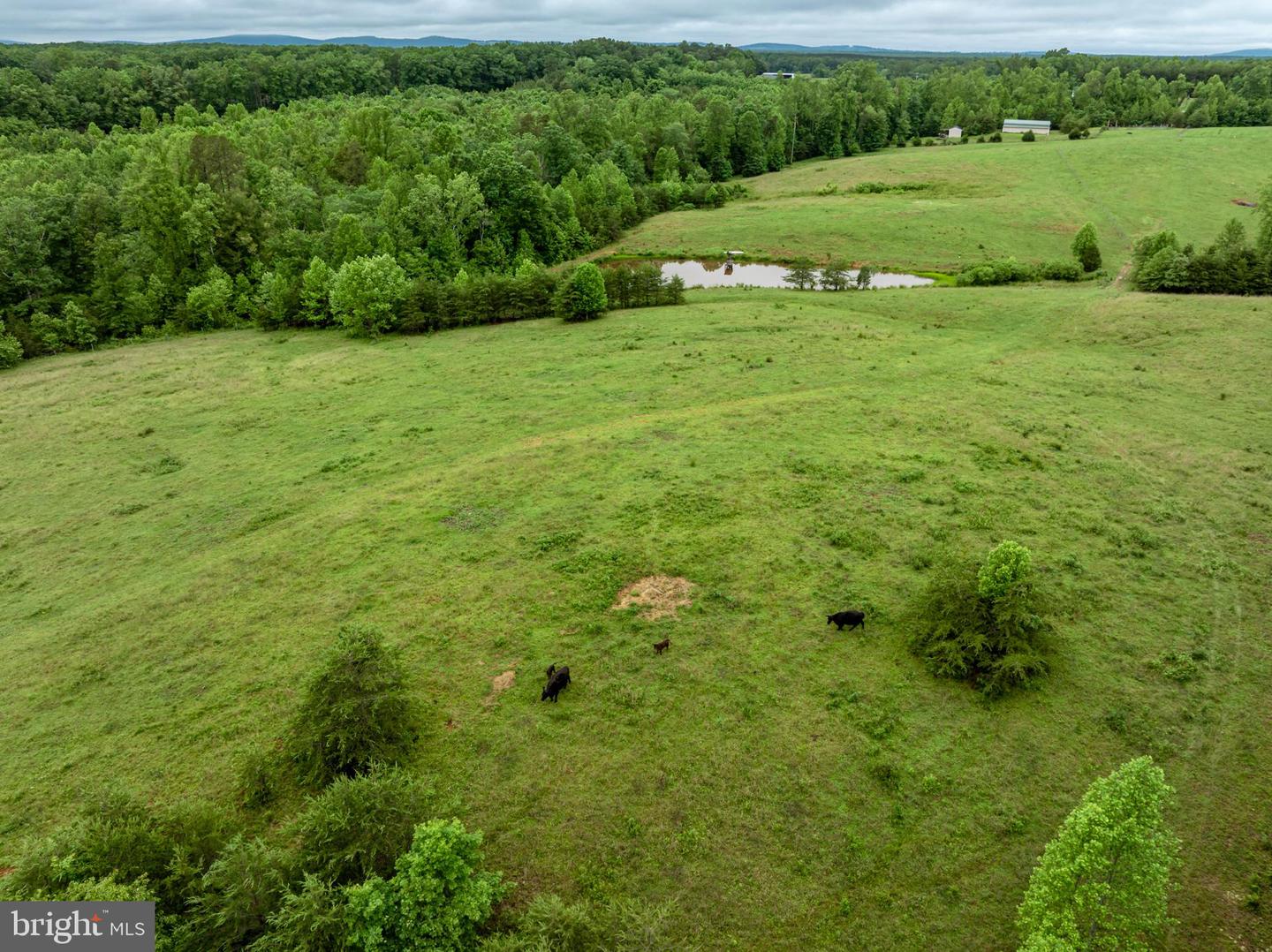 50 ELIZABETH, LOUISA, Virginia 23093, ,Land,For sale,50 ELIZABETH,VALA2007946 MLS # VALA2007946