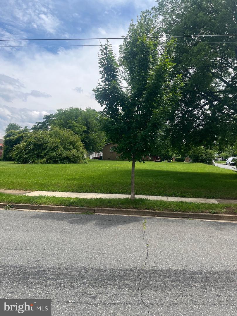408 MCKINNEY ST, FREDERICKSBURG, Virginia 22401, ,Land,For sale,408 MCKINNEY ST,VAFB2008346 MLS # VAFB2008346