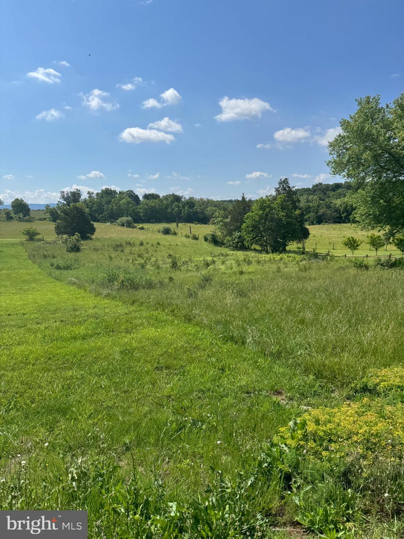 TBD BACK RD, MAURERTOWN, Virginia 22644, ,Land,For sale,TBD BACK RD,VASH2011618 MLS # VASH2011618