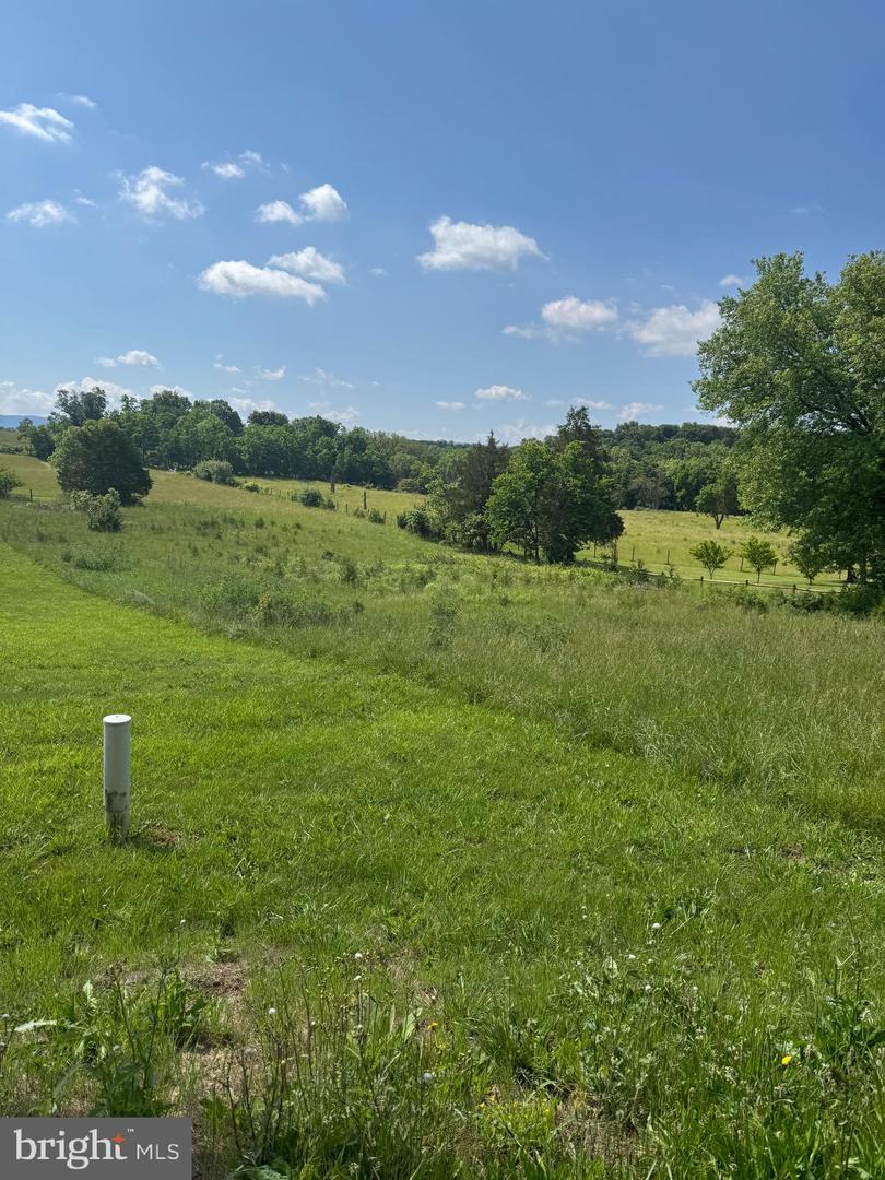 TBD BACK RD, MAURERTOWN, Virginia 22644, ,Land,For sale,TBD BACK RD,VASH2011618 MLS # VASH2011618