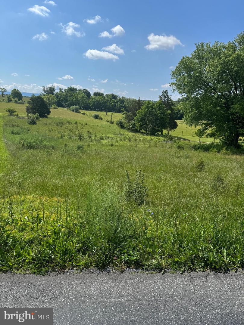 TBD BACK RD, MAURERTOWN, Virginia 22644, ,Land,For sale,TBD BACK RD,VASH2011618 MLS # VASH2011618