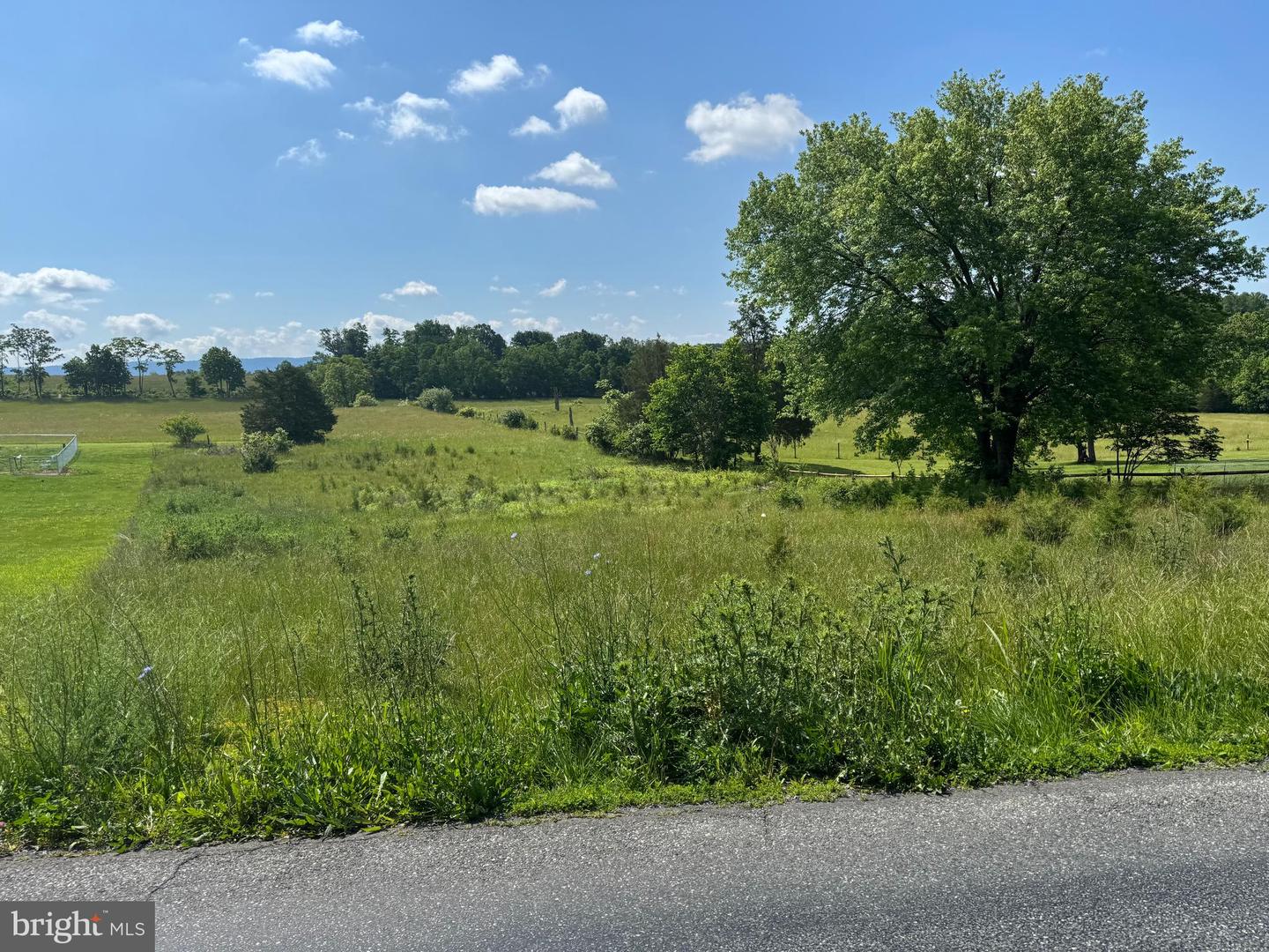 TBD BACK RD, MAURERTOWN, Virginia 22644, ,Land,For sale,TBD BACK RD,VASH2011618 MLS # VASH2011618