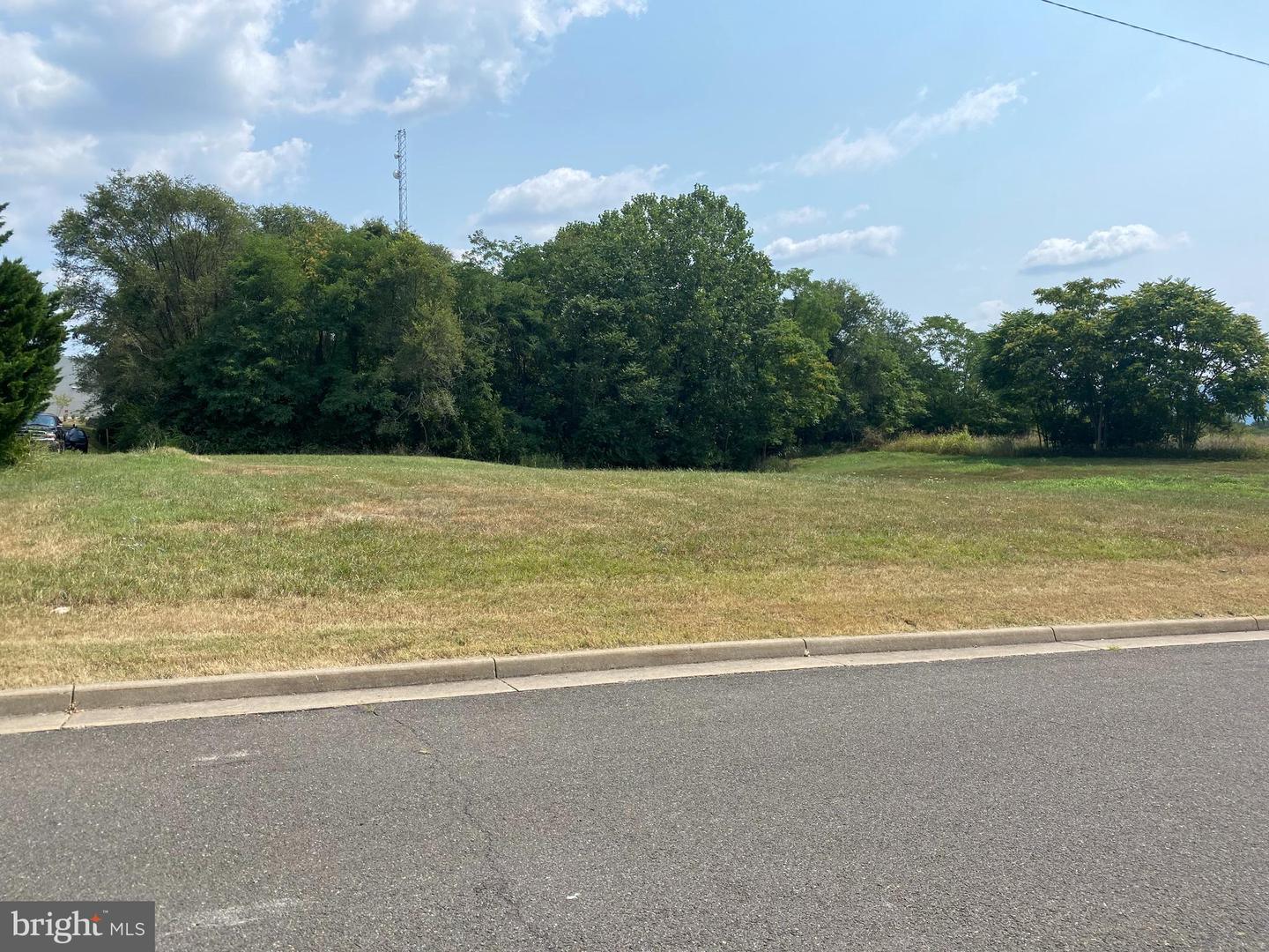 LOT A KINGREE ST, WOODSTOCK, Virginia 22664, ,Land,For sale,LOT A KINGREE ST,VASH2011620 MLS # VASH2011620