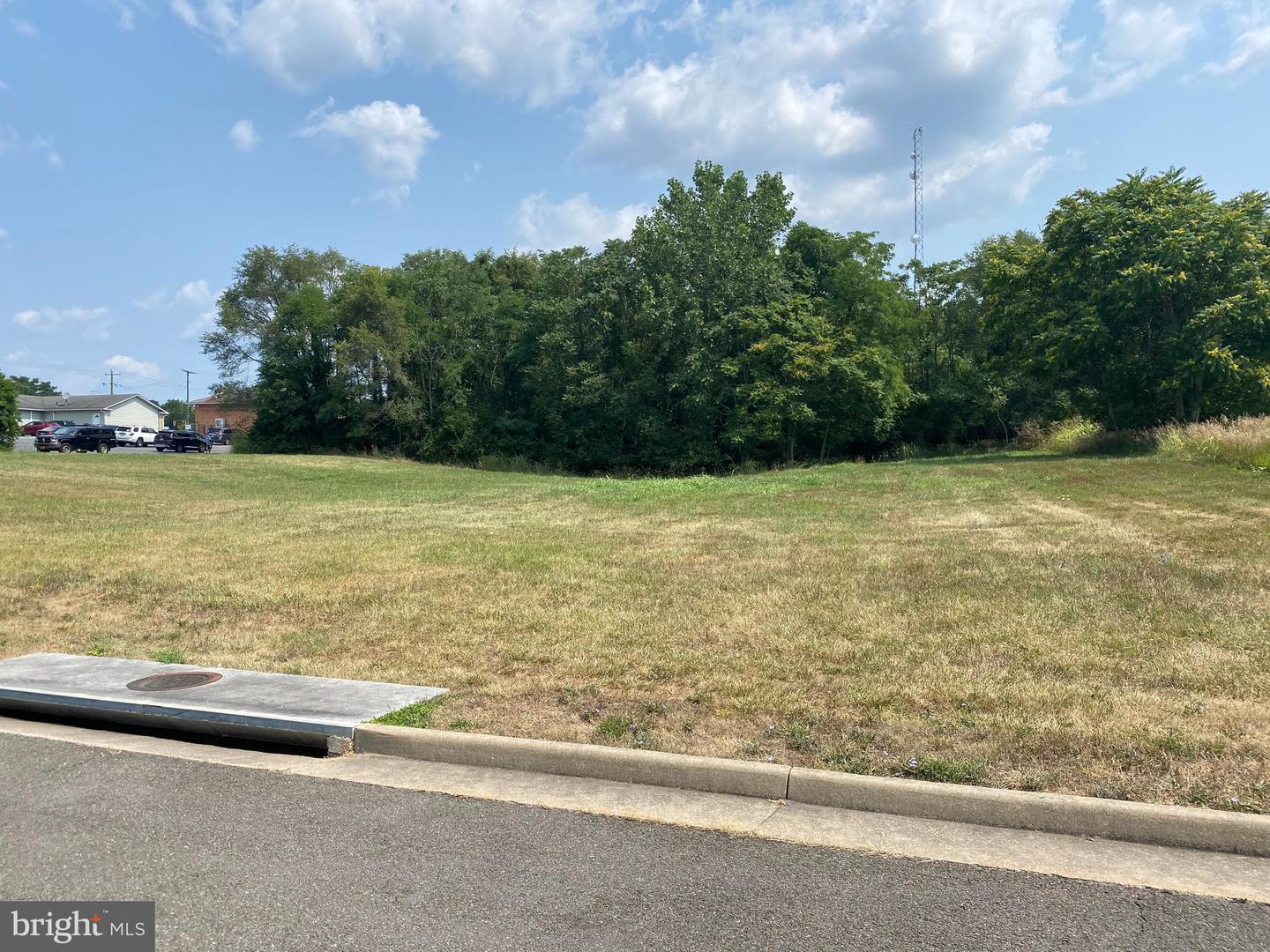 LOT A KINGREE ST, WOODSTOCK, Virginia 22664, ,Land,For sale,LOT A KINGREE ST,VASH2011620 MLS # VASH2011620