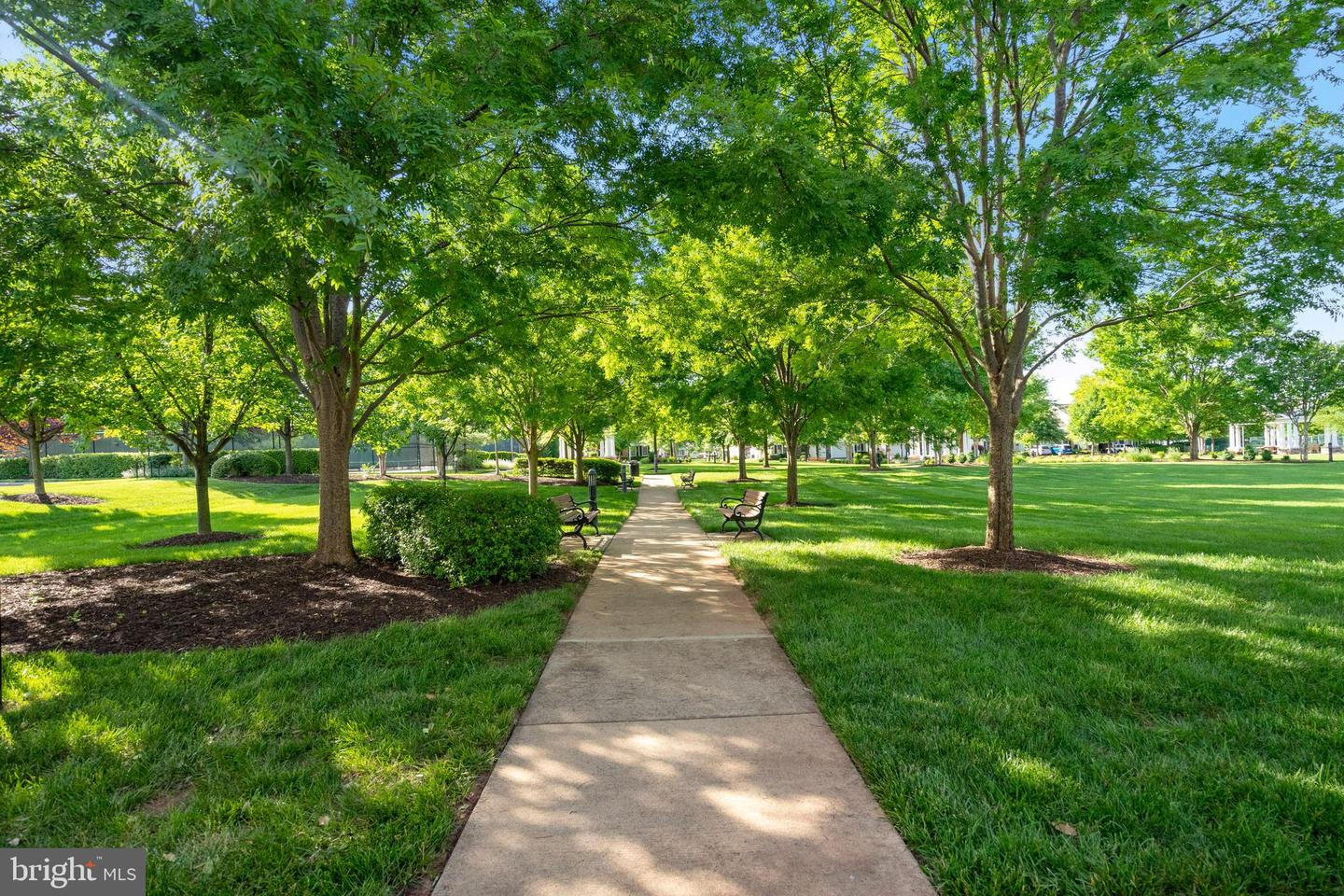 20620 HOPE SPRING TER #206, ASHBURN, Virginia 20147, 2 Bedrooms Bedrooms, ,2 BathroomsBathrooms,Residential,For sale,20620 HOPE SPRING TER #206,VALO2094526 MLS # VALO2094526