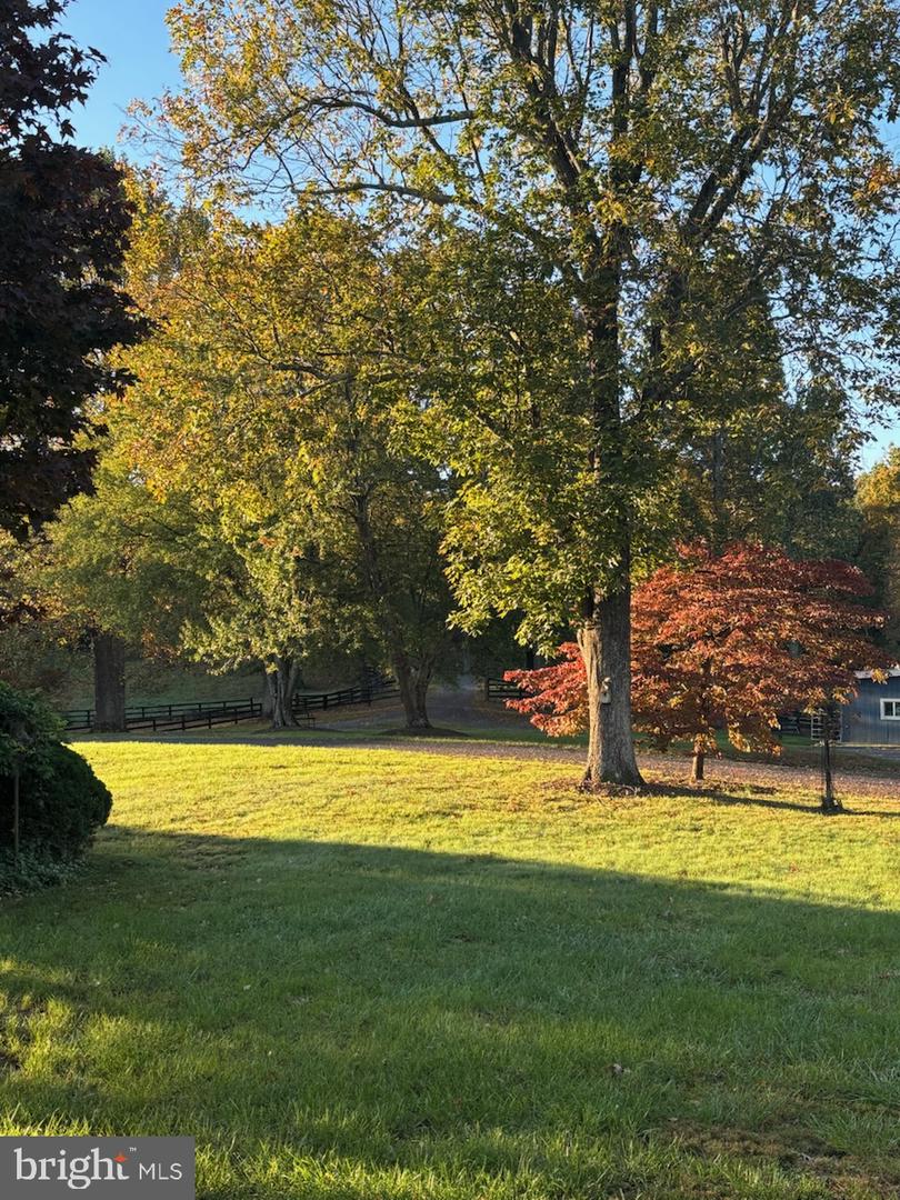 409 COOK MOUNTAIN DR, BRIGHTWOOD, Virginia 22715, 4 Bedrooms Bedrooms, ,3 BathroomsBathrooms,Farm,For sale,409 COOK MOUNTAIN DR,VAMA2002254 MLS # VAMA2002254