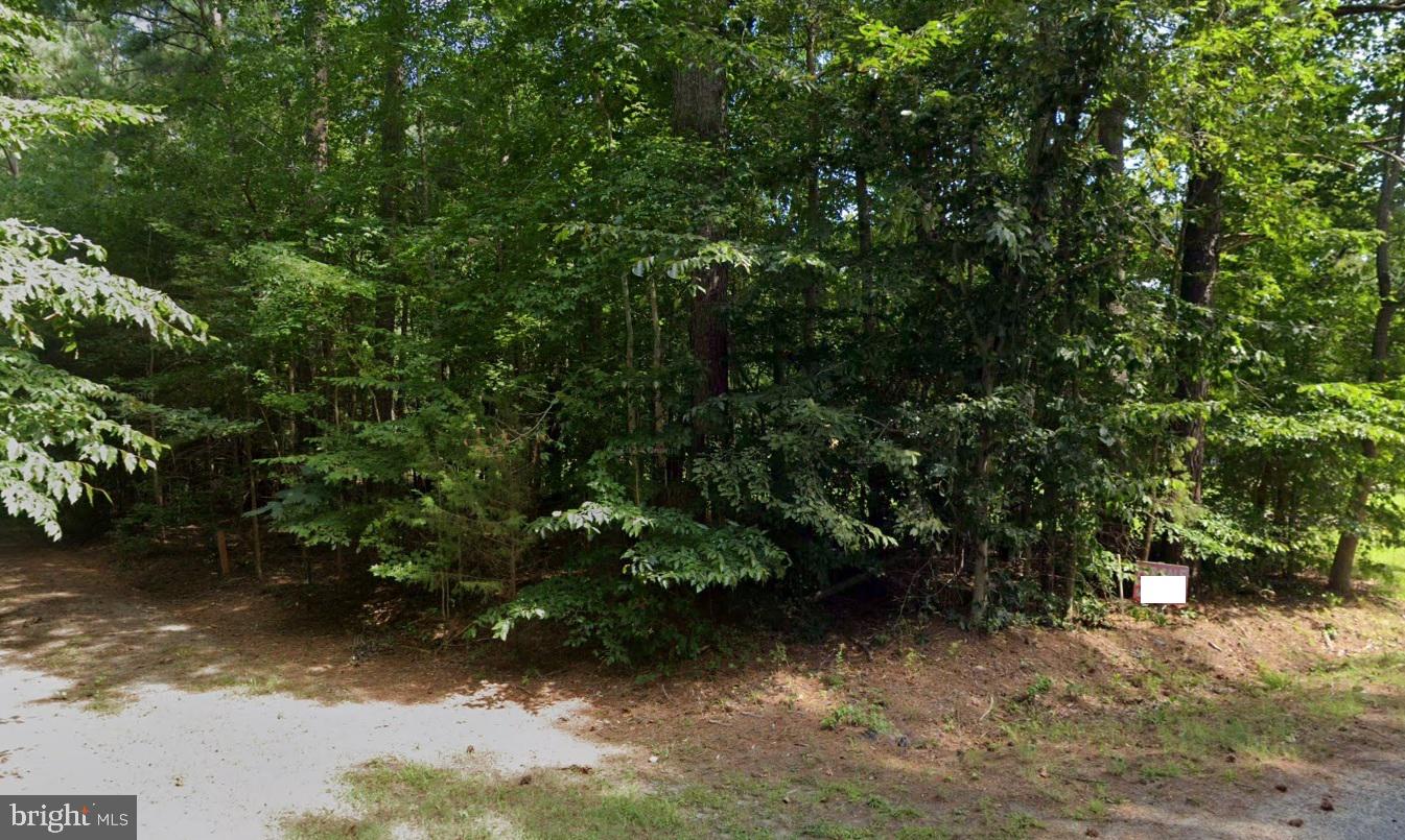 00 TRACK LN, SMITHFIELD, Virginia 23430, ,Land,For sale,00 TRACK LN,VAIW2000056 MLS # VAIW2000056