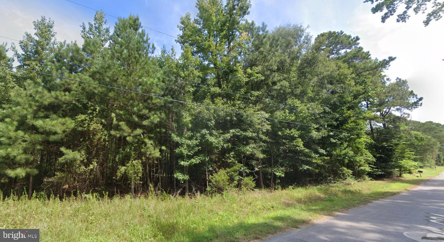 00 TRACK LN, SMITHFIELD, Virginia 23430, ,Land,For sale,00 TRACK LN,VAIW2000056 MLS # VAIW2000056