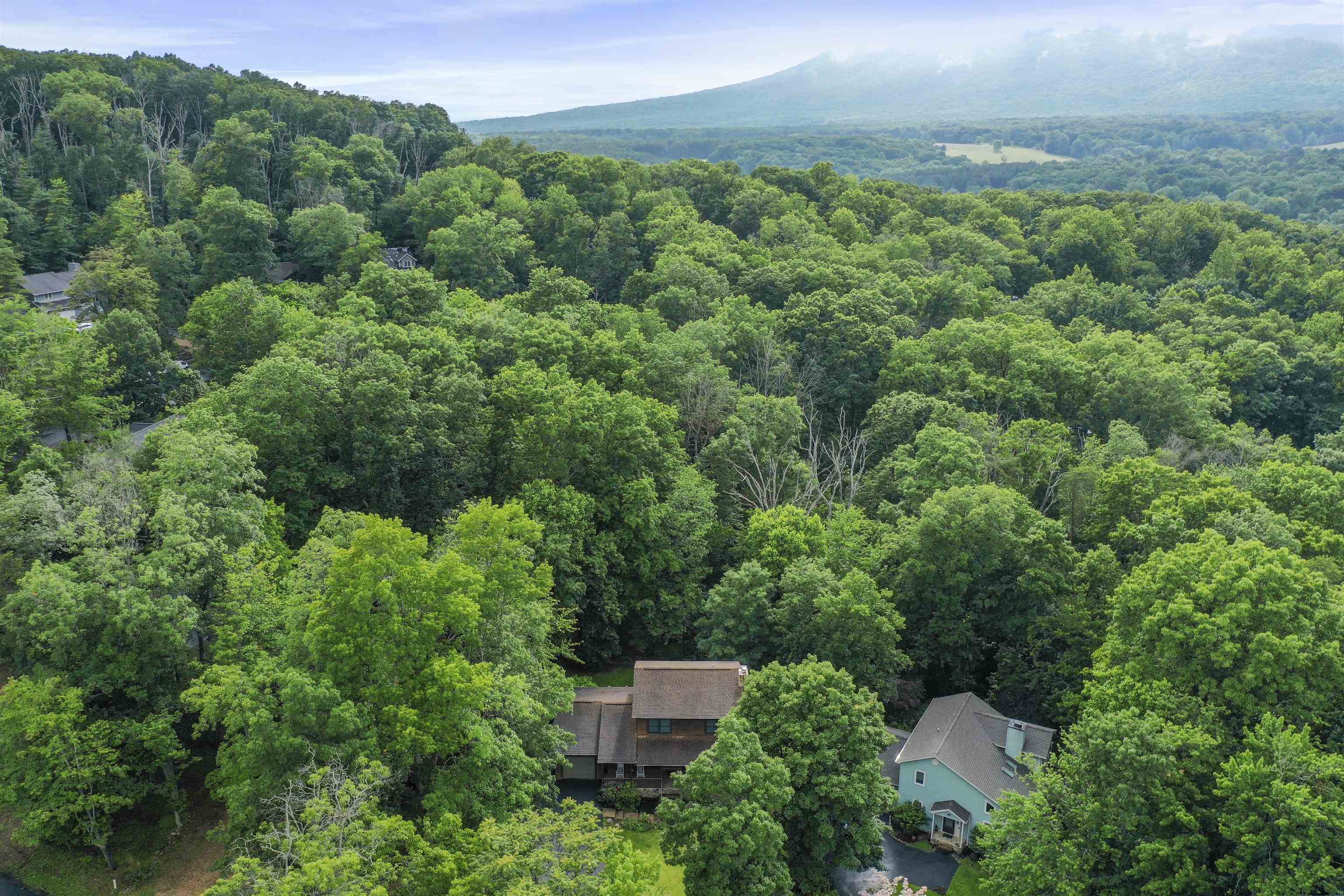 275 JESSAMINE PL, MCGAHEYSVILLE, Virginia 22840, 4 Bedrooms Bedrooms, ,3 BathroomsBathrooms,Residential,Mountain Cabin Retreat,275 JESSAMINE PL,665256 MLS # 665256