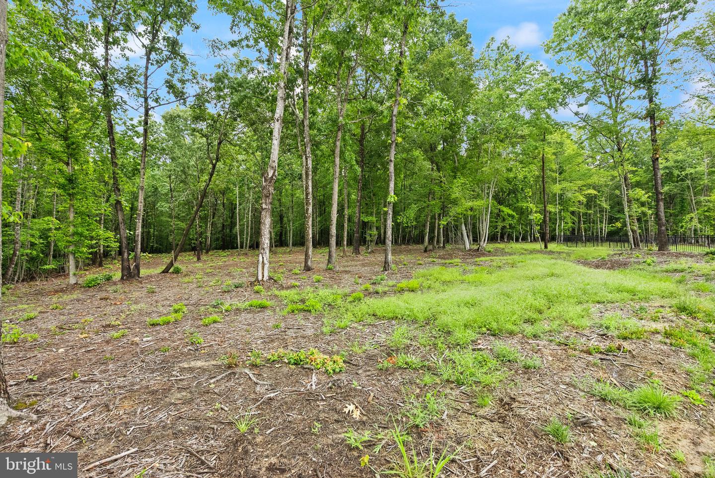 118 LIBERTY GARDEN LN, FREDERICKSBURG, Virginia 22406, 4 Bedrooms Bedrooms, ,3 BathroomsBathrooms,Residential,For sale,118 LIBERTY GARDEN LN,VAST2039106 MLS # VAST2039106