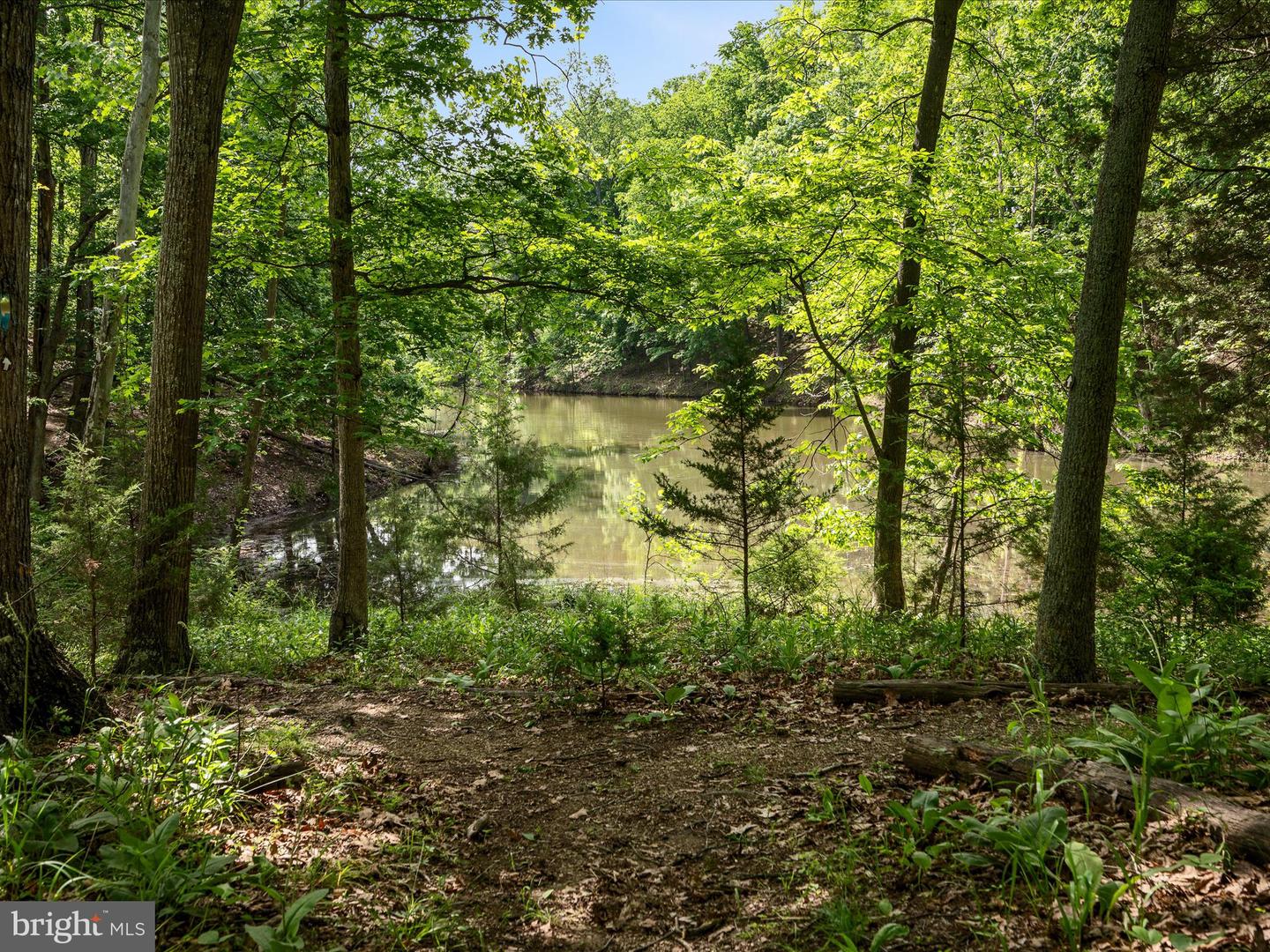 130 GROSBEAK CT, LAKE FREDERICK, Virginia 22630, 4 Bedrooms Bedrooms, ,3 BathroomsBathrooms,Residential,For sale,130 GROSBEAK CT,VAFV2034446 MLS # VAFV2034446