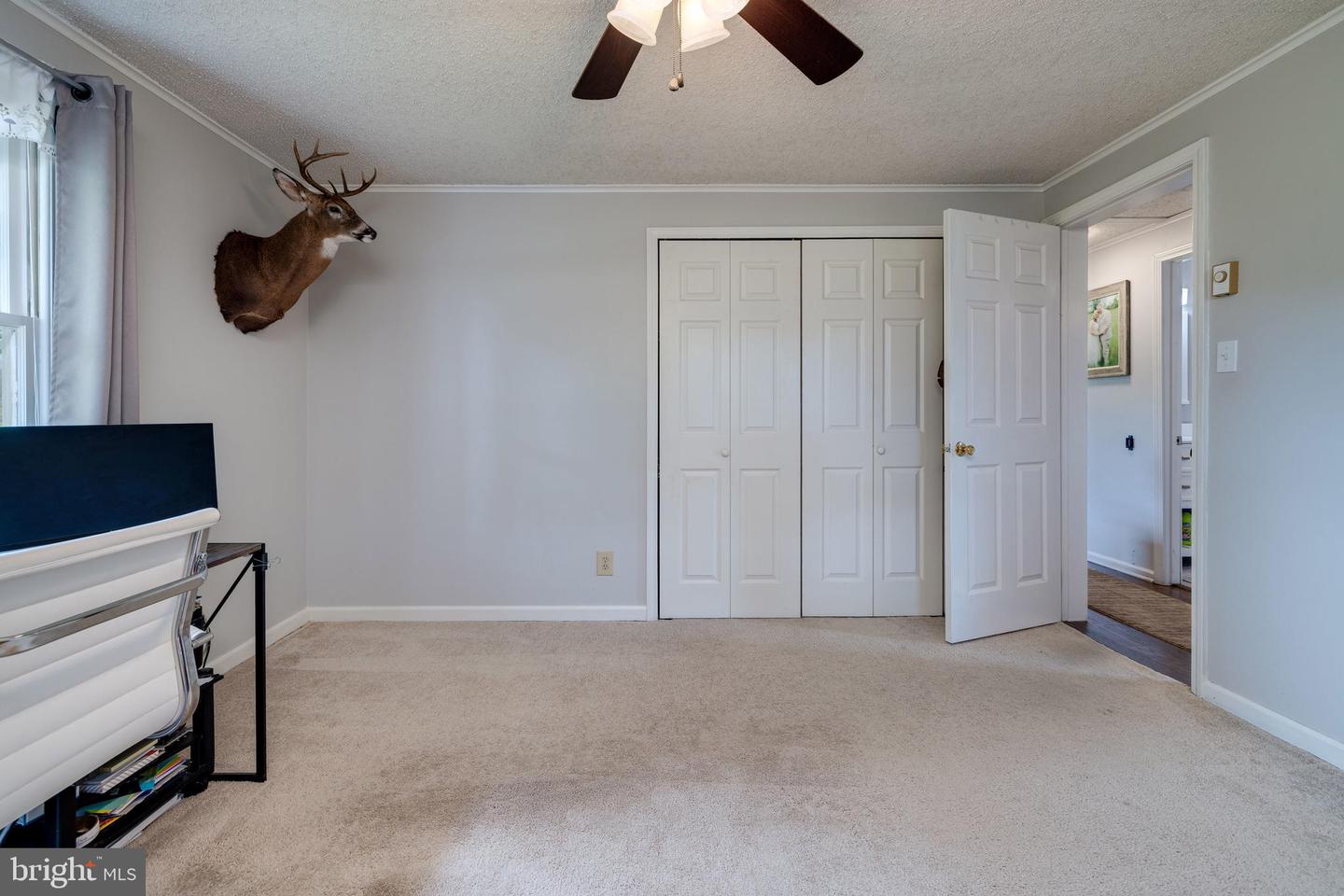 235 PARKVIEW ESTATES RD, LURAY, Virginia 22835, 3 Bedrooms Bedrooms, ,2 BathroomsBathrooms,Residential,For sale,235 PARKVIEW ESTATES RD,VAPA2004956 MLS # VAPA2004956