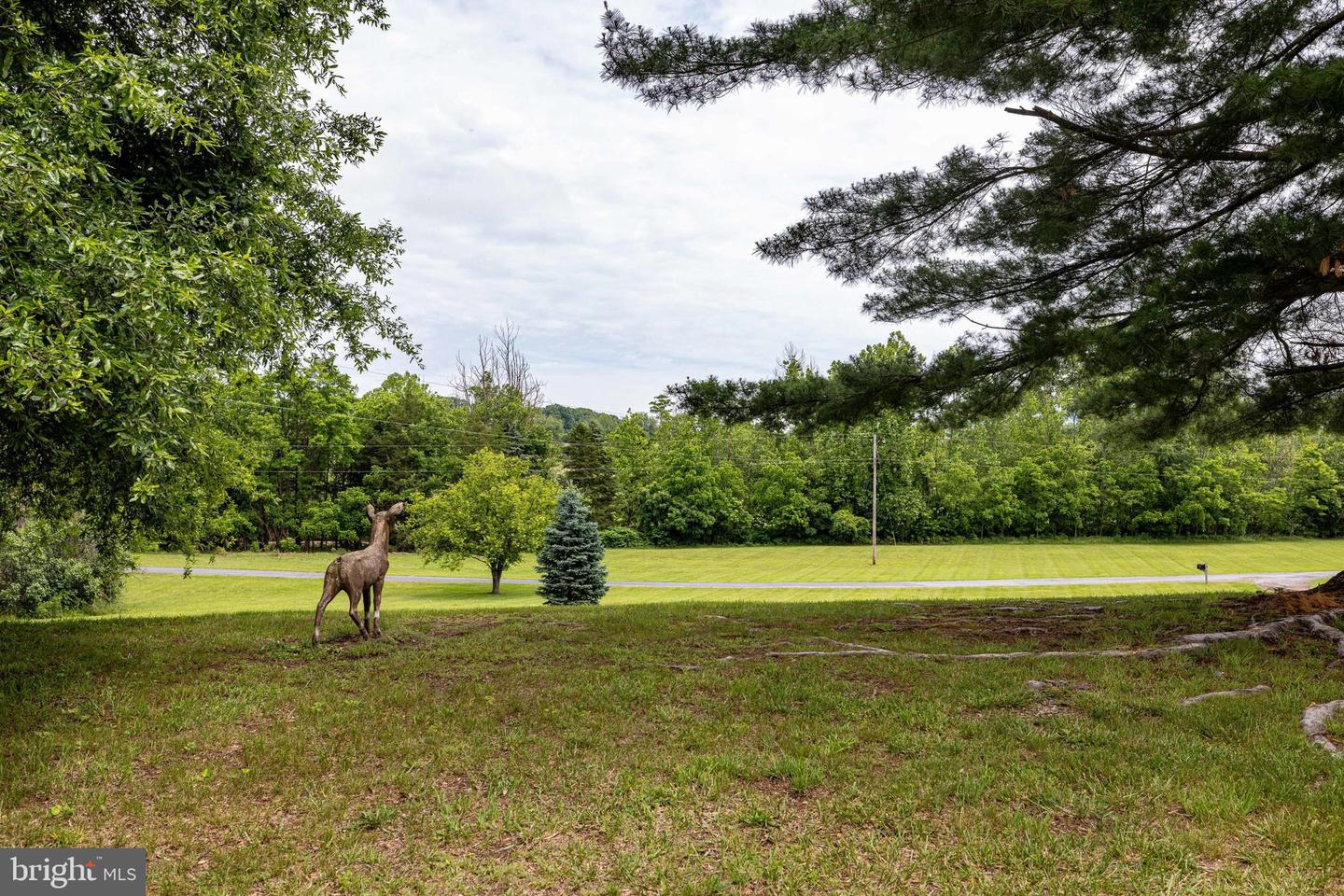 235 PARKVIEW ESTATES RD, LURAY, Virginia 22835, 3 Bedrooms Bedrooms, ,2 BathroomsBathrooms,Residential,For sale,235 PARKVIEW ESTATES RD,VAPA2004956 MLS # VAPA2004956