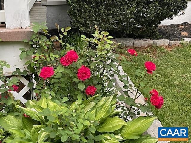 5205 WEST HOOVER RD, MADISON, Virginia 22735, 4 Bedrooms Bedrooms, ,4 BathroomsBathrooms,Residential,For sale,5205 WEST HOOVER RD,664961 MLS # 664961