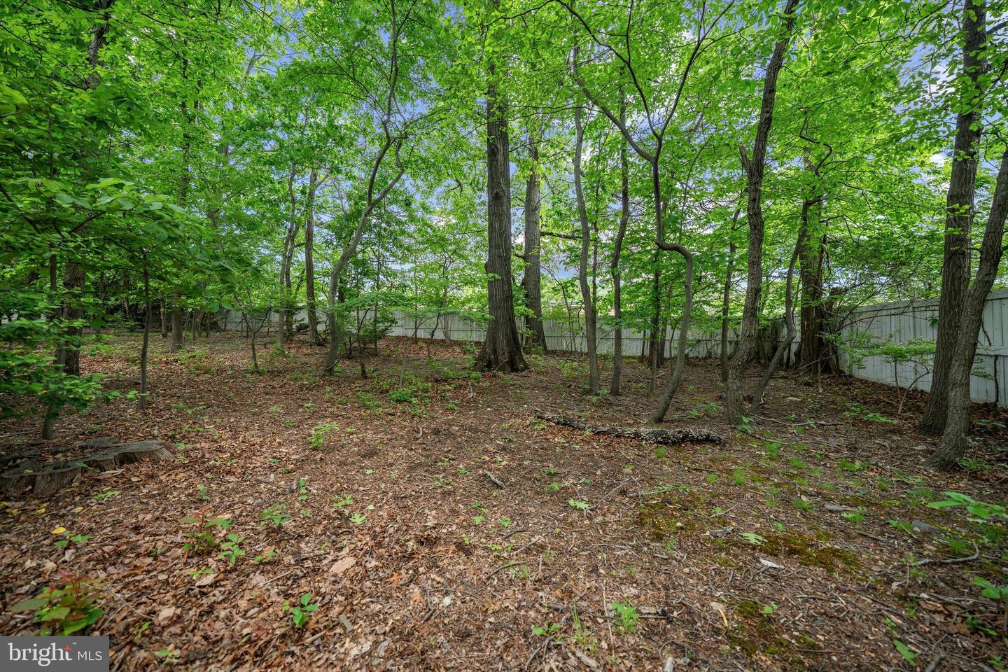 2300 YVONNES WAY, DUNN LORING, Virginia 22027, 4 Bedrooms Bedrooms, ,4 BathroomsBathrooms,Residential,For sale,2300 YVONNES WAY,VAFX2243606 MLS # VAFX2243606