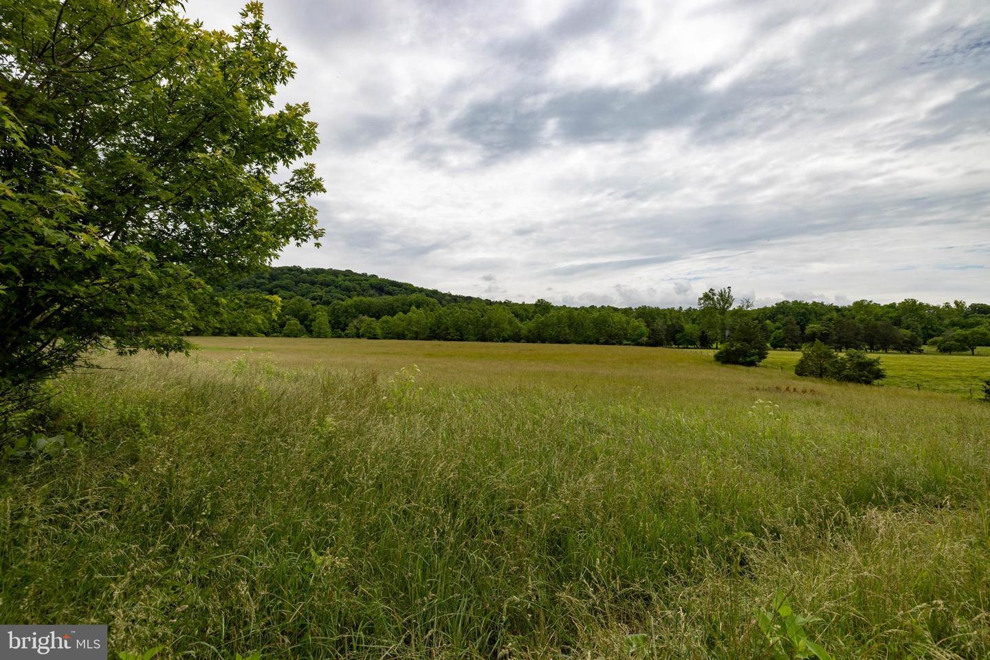501 S FORK RD, LURAY, Virginia 22835, 3 Bedrooms Bedrooms, ,2 BathroomsBathrooms,Residential,For sale,501 S FORK RD,VAPA2004970 MLS # VAPA2004970