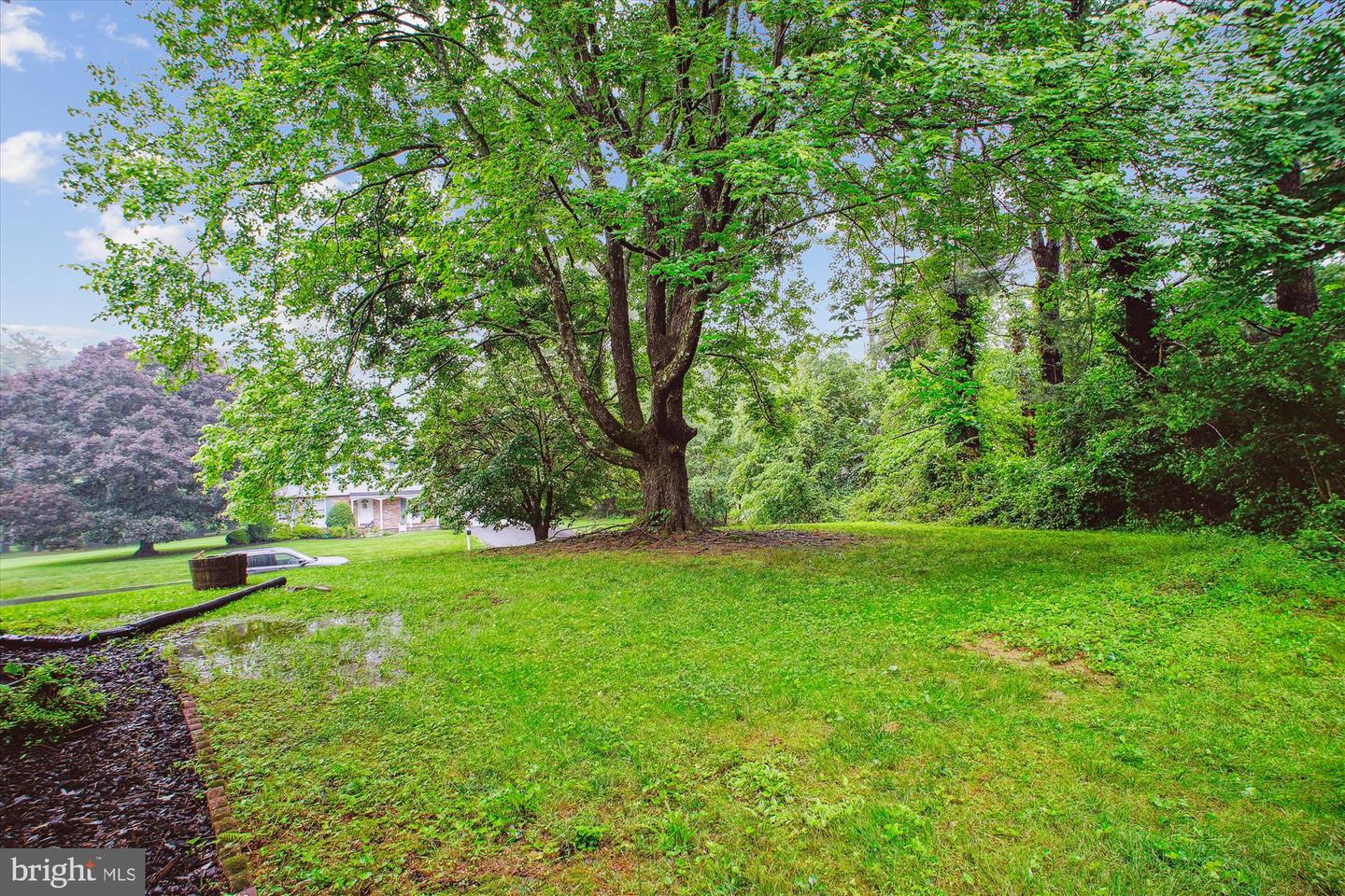 944 WAR ADMIRAL ST, GREAT FALLS, Virginia 22066, 4 Bedrooms Bedrooms, ,2 BathroomsBathrooms,Residential,For sale,944 WAR ADMIRAL ST,VAFX2244224 MLS # VAFX2244224