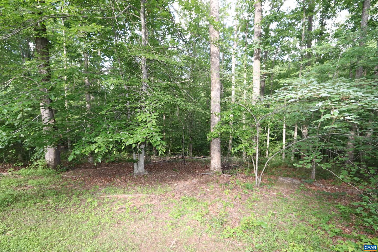 5254 HAVENWOOD LN, SCHUYLER, Virginia 22969, 4 Bedrooms Bedrooms, ,4 BathroomsBathrooms,Residential,For sale,5254 HAVENWOOD LN,665152 MLS # 665152