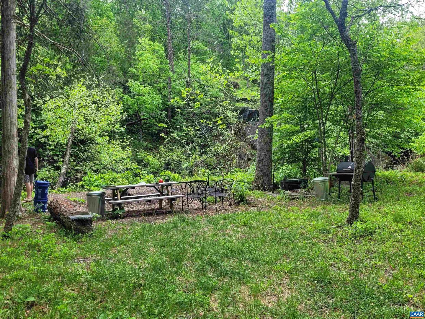 5254 HAVENWOOD LN, SCHUYLER, Virginia 22969, 4 Bedrooms Bedrooms, ,4 BathroomsBathrooms,Residential,For sale,5254 HAVENWOOD LN,665152 MLS # 665152