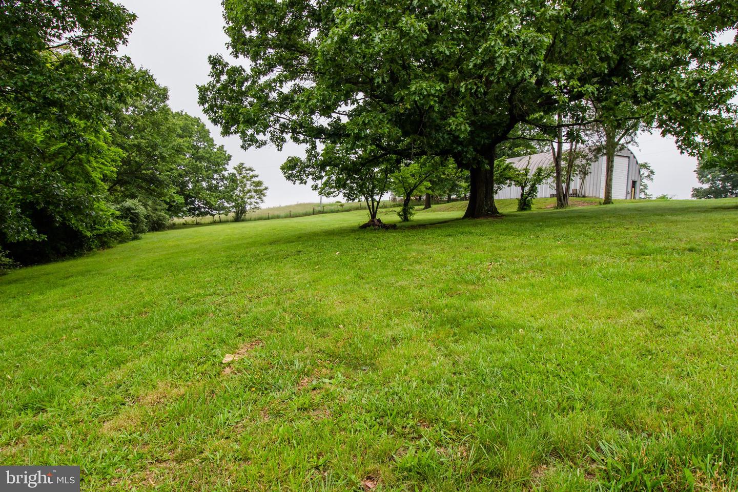 7377 APPLE RIDGE DR, TIMBERVILLE, Virginia 22853, 4 Bedrooms Bedrooms, ,3 BathroomsBathrooms,Residential,For sale,7377 APPLE RIDGE DR,VARO2002348 MLS # VARO2002348