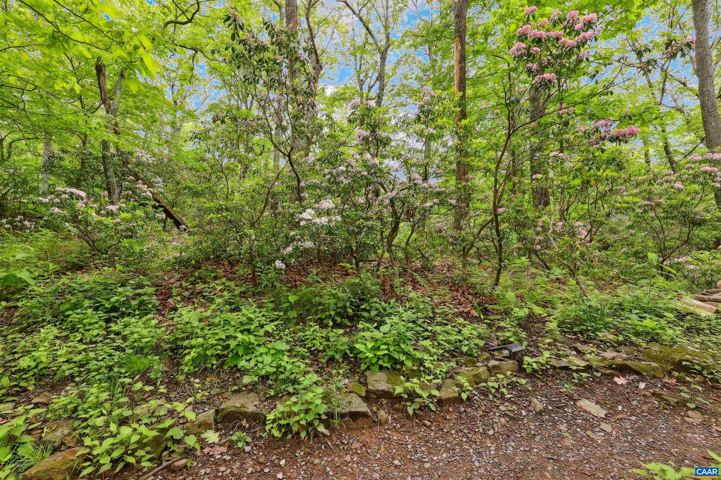 134 GUMTREE DR, WINTERGREEN RESORT, Virginia 22967, 4 Bedrooms Bedrooms, ,2 BathroomsBathrooms,Residential,For sale,134 GUMTREE DR,665196 MLS # 665196