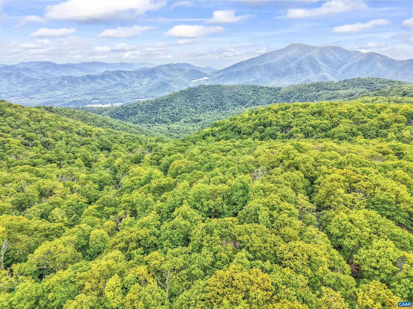 134 GUMTREE DR, WINTERGREEN RESORT, Virginia 22967, 4 Bedrooms Bedrooms, ,2 BathroomsBathrooms,Residential,For sale,134 GUMTREE DR,665196 MLS # 665196