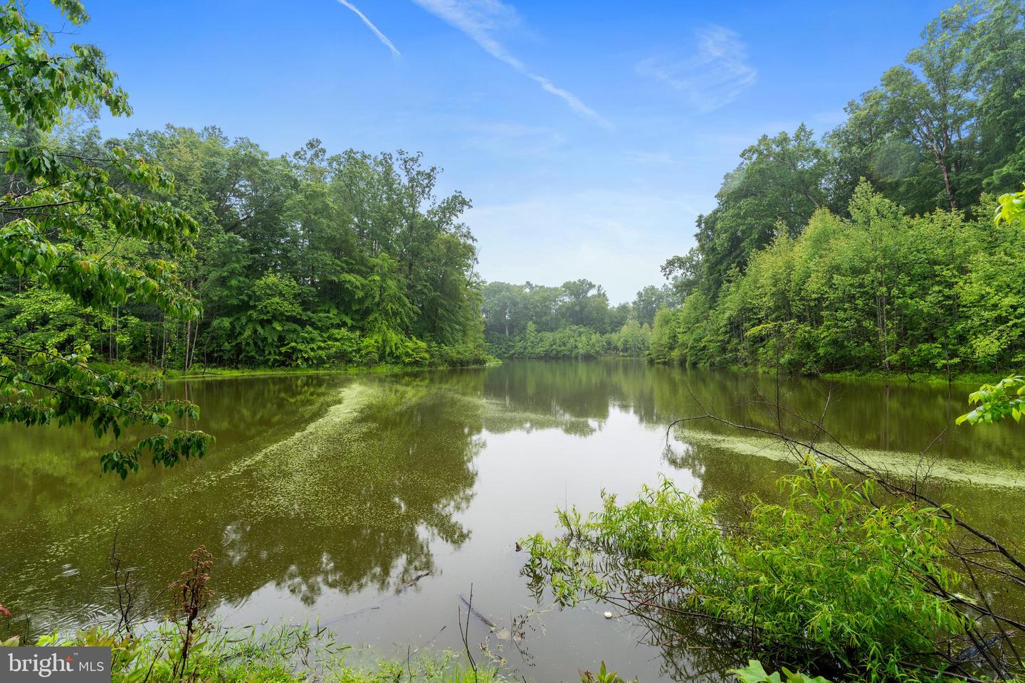 35 MARCH CT, FREDERICKSBURG, Virginia 22406, 4 Bedrooms Bedrooms, ,3 BathroomsBathrooms,Residential,For sale,35 MARCH CT,VAST2039400 MLS # VAST2039400
