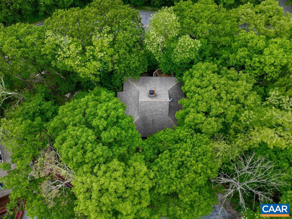 201 PINNACLE DR, WINTERGREEN, Virginia 22967, 5 Bedrooms Bedrooms, ,4 BathroomsBathrooms,Residential,For sale,201 PINNACLE DR,665247 MLS # 665247