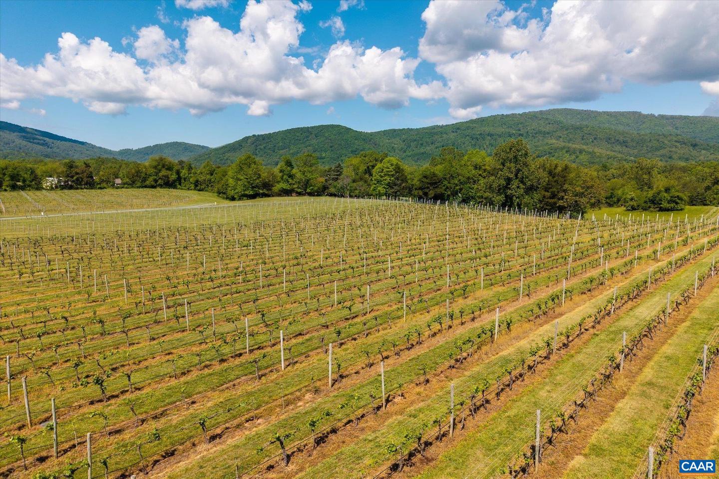 5190 SUGAR RIDGE RD, CROZET, Virginia 22932, 5 Bedrooms Bedrooms, ,4 BathroomsBathrooms,Residential,For sale,5190 SUGAR RIDGE RD,665249 MLS # 665249
