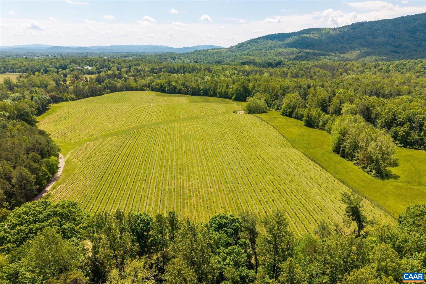5190 SUGAR RIDGE RD, CROZET, Virginia 22932, 5 Bedrooms Bedrooms, ,4 BathroomsBathrooms,Residential,For sale,5190 SUGAR RIDGE RD,665249 MLS # 665249