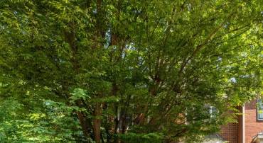 2221 N OAK CT, ARLINGTON, Virginia 22209, 3 Bedrooms Bedrooms, ,3 BathroomsBathrooms,Residential,For sale,2221 N OAK CT,VAAR2057588 MLS # VAAR2057588