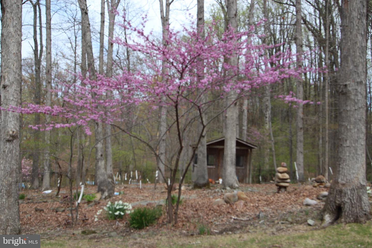 3415 MILLER HEIGHTS RD, OAKTON, Virginia 22124, 4 Bedrooms Bedrooms, ,4 BathroomsBathrooms,Residential,For sale,3415 MILLER HEIGHTS RD,VAFX2241160 MLS # VAFX2241160