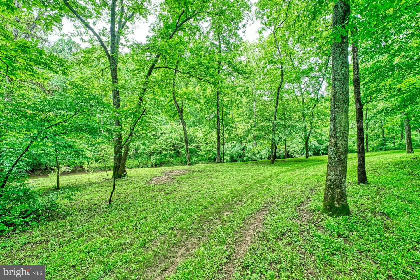 13487 MIDLANDS FARM LN, LOVETTSVILLE, Virginia 20180, 3 Bedrooms Bedrooms, ,2 BathroomsBathrooms,Residential,For sale,13487 MIDLANDS FARM LN,VALO2097336 MLS # VALO2097336