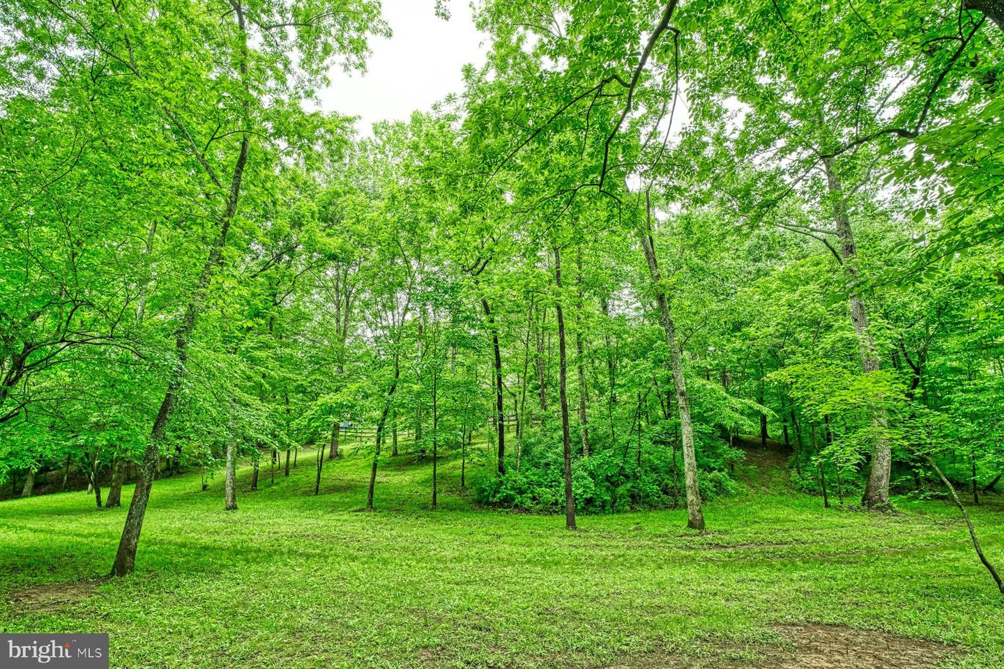 13487 MIDLANDS FARM LN, LOVETTSVILLE, Virginia 20180, 3 Bedrooms Bedrooms, ,2 BathroomsBathrooms,Residential,For sale,13487 MIDLANDS FARM LN,VALO2097336 MLS # VALO2097336