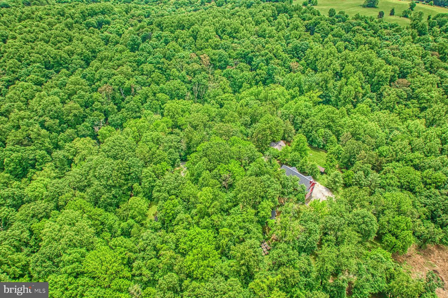 13487 MIDLANDS FARM LN, LOVETTSVILLE, Virginia 20180, 3 Bedrooms Bedrooms, ,2 BathroomsBathrooms,Residential,For sale,13487 MIDLANDS FARM LN,VALO2097336 MLS # VALO2097336